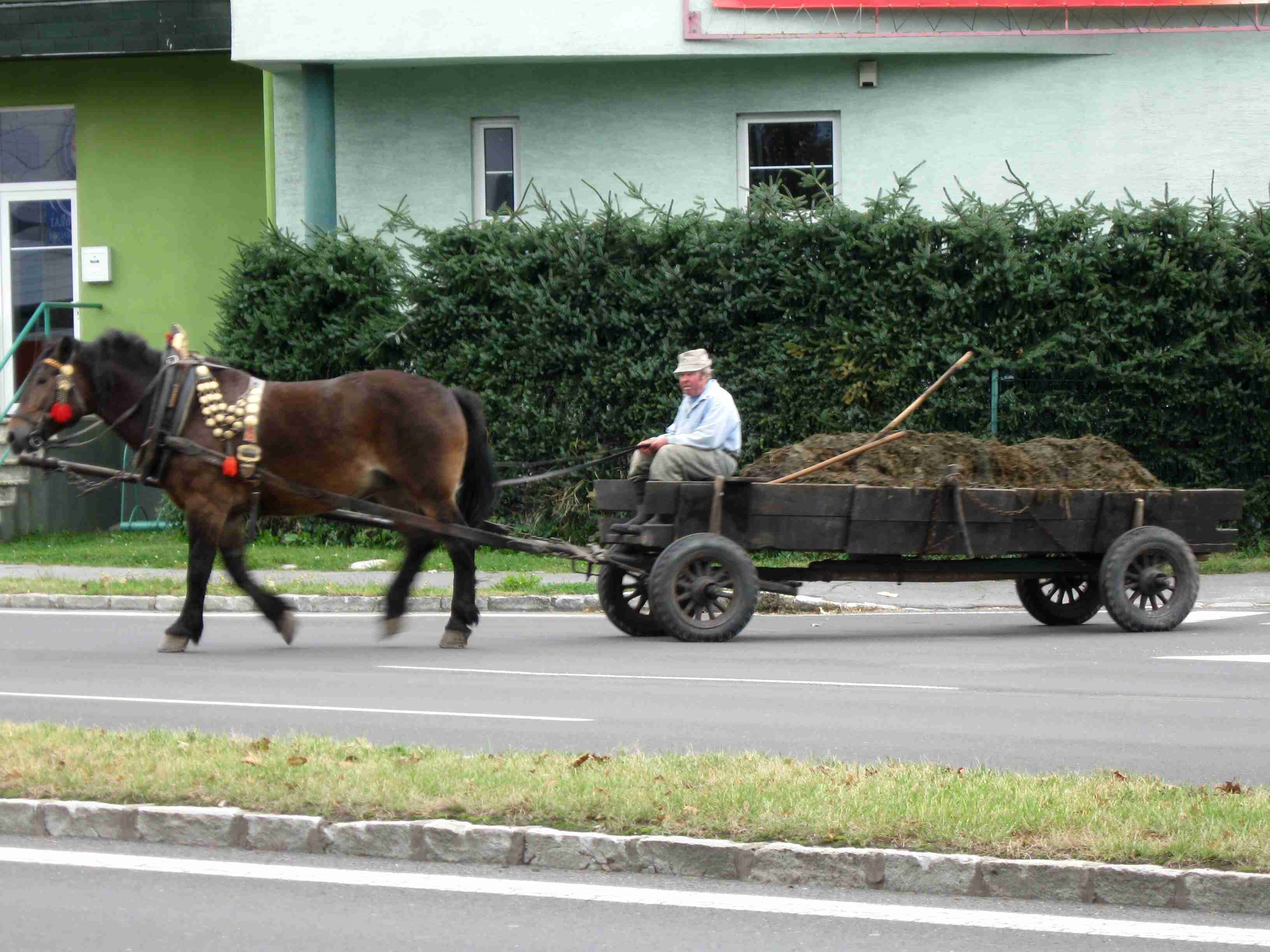 VSOŠ sraz 30 0612